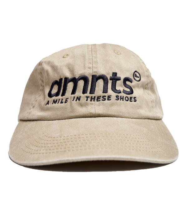 AMNTS DAD CAP